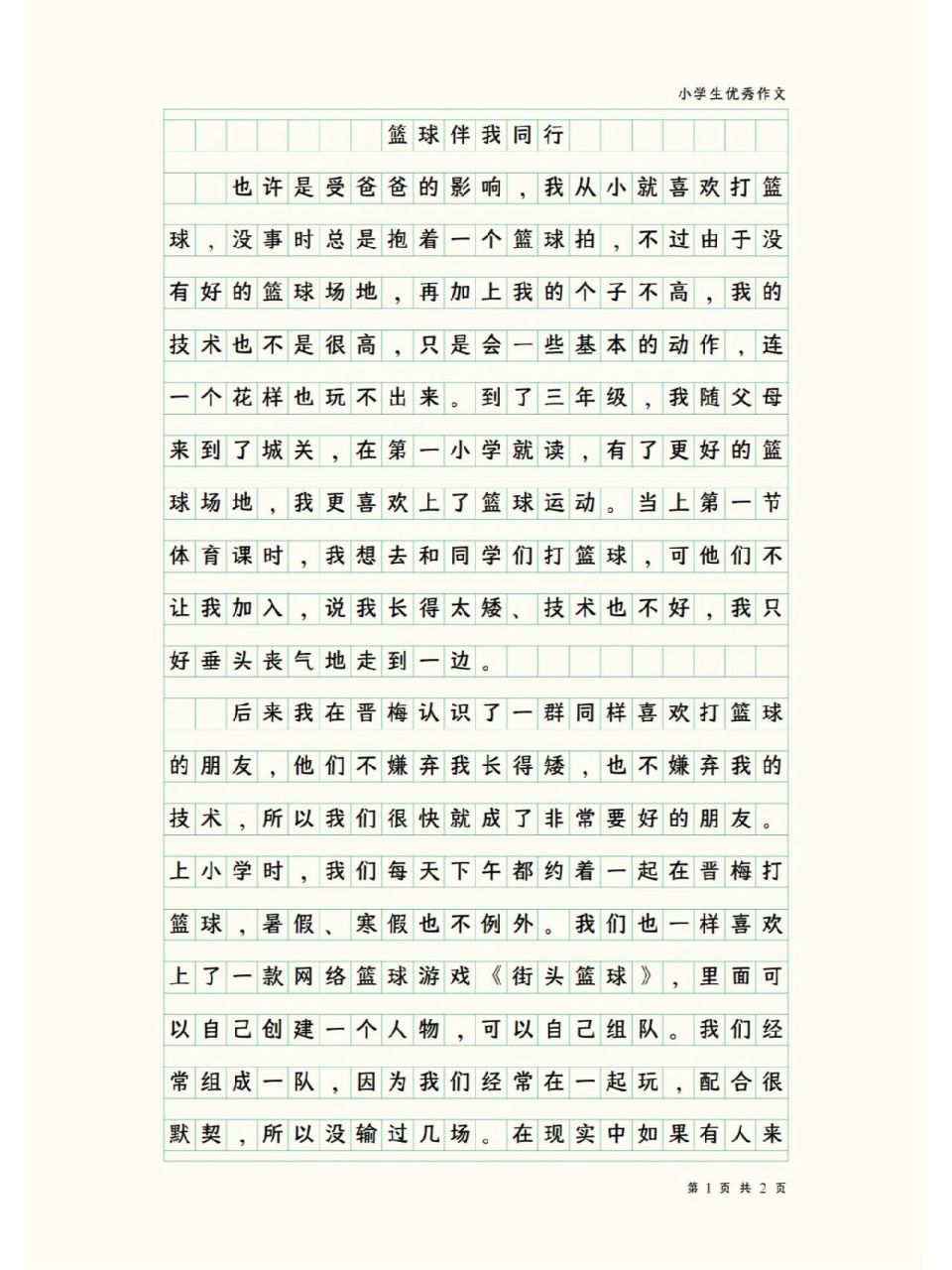 篮球训练观后感300字作文